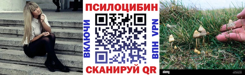 Псилоцибиновые грибы Magic Shrooms  наркошоп  Богородицк 